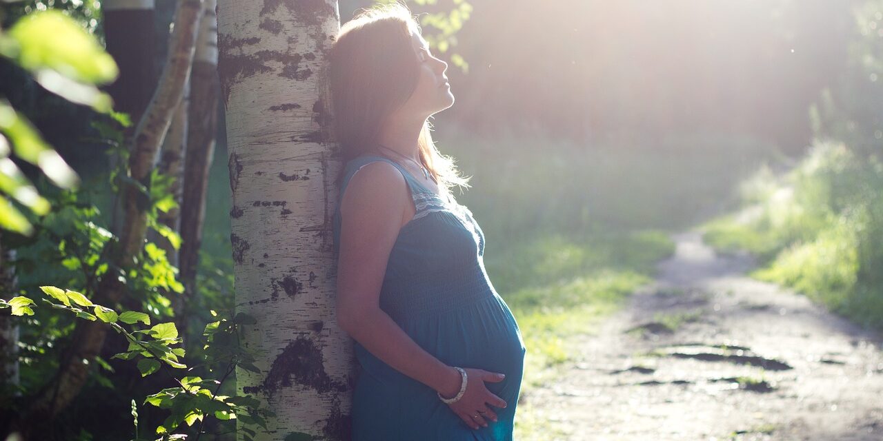 bouleauEnceinte